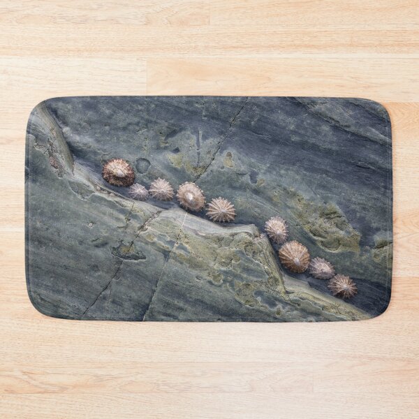 Item preview, Cadgwith Limpets #2 designed and sold by ccullen222.