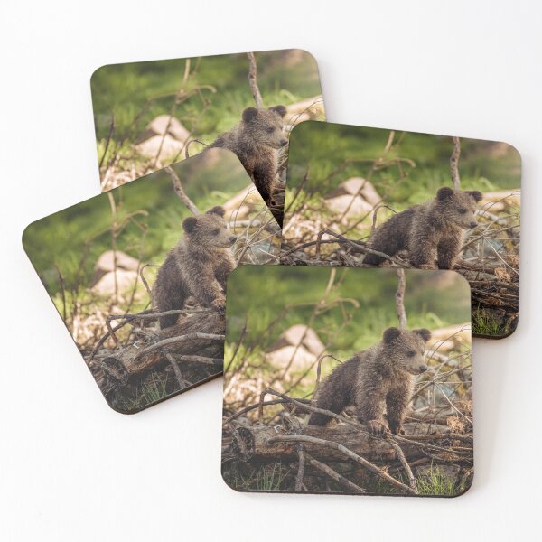 Item preview, Baby brown bear exploring the woods designed and sold by Booboo13.