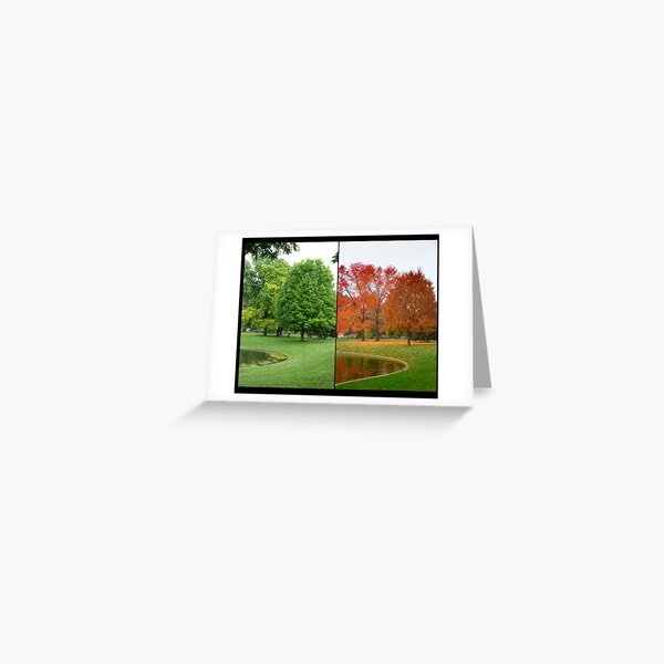 Summer Turns to Autumn Greeting Card