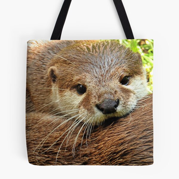 Item preview, River Otter Portriat designed and sold by Booboo13.