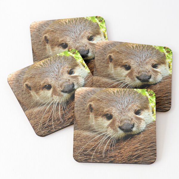 Item preview, River Otter Portriat designed and sold by Booboo13.
