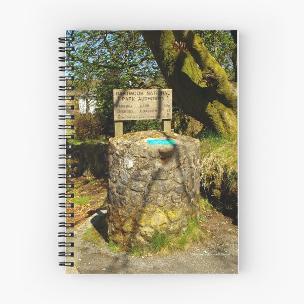 Item preview, Parking Meter in Dartmoor designed and sold by Charmiene Maxwell-Batten.