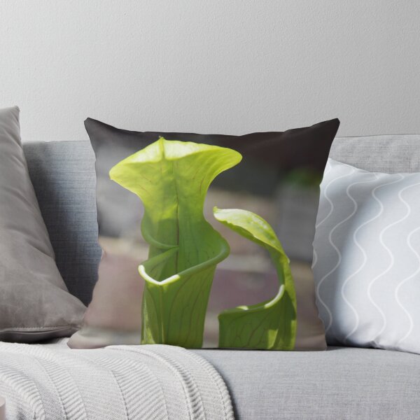 Item preview, Carnivorous Plant - Pitcher Plant designed and sold by lezvee.