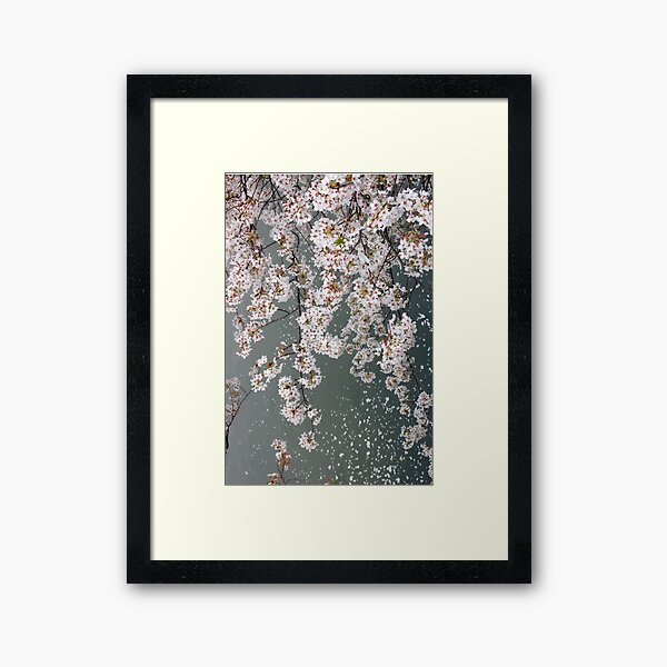 Item preview, Cherry Blossom designed and sold by WaterGardens.