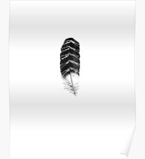 Feather print Poster