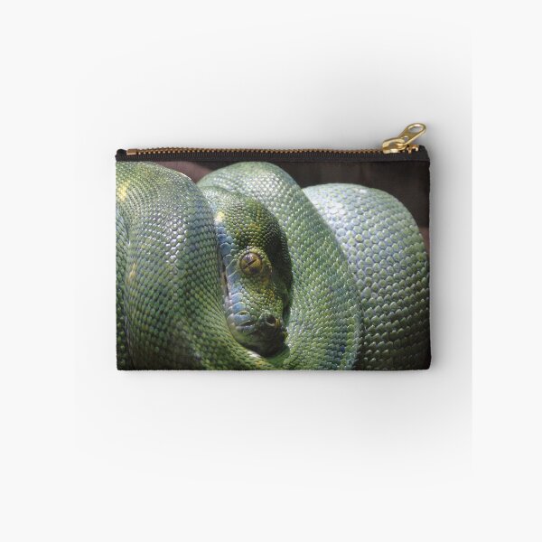Item preview, Resting Green Tree Viper designed and sold by ChadKroll.
