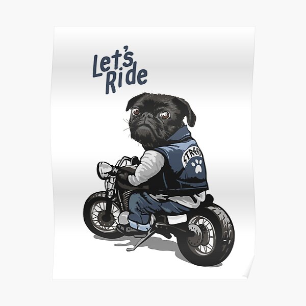 pug motorcycle helmet