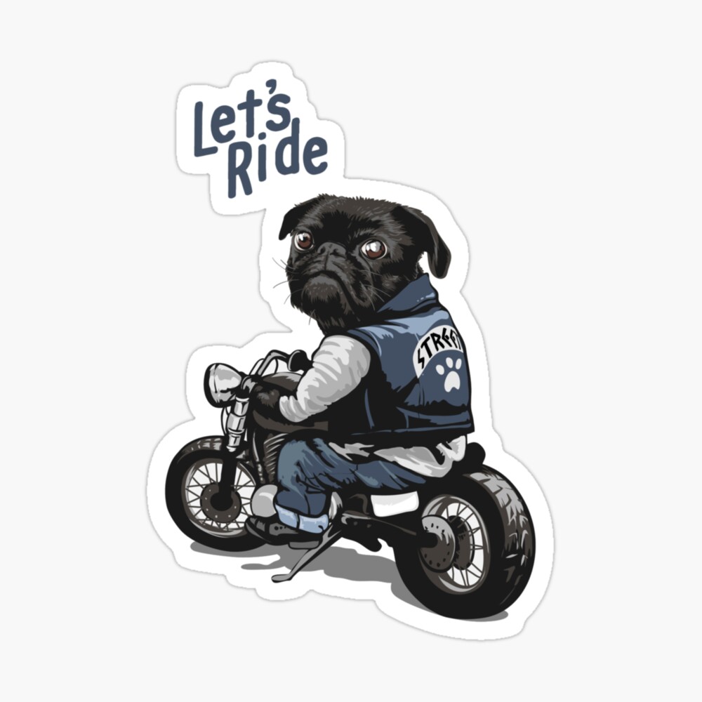 pug on a motorcycle
