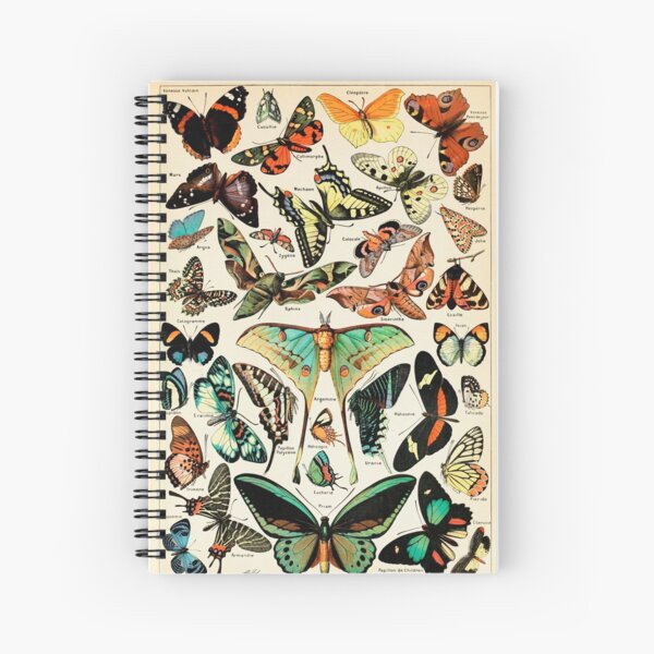 Papillon I Vintage French Butterfly Charts by Adolphe Millot Spiral Notebook