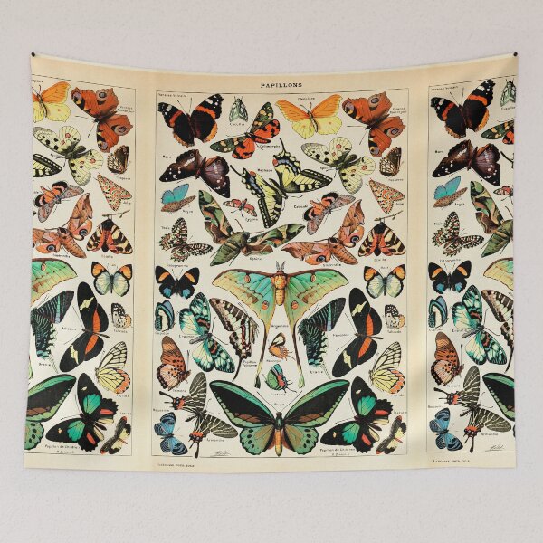 Item preview, Papillon I Vintage French Butterfly Charts by Adolphe Millot designed and sold by wildtribe.