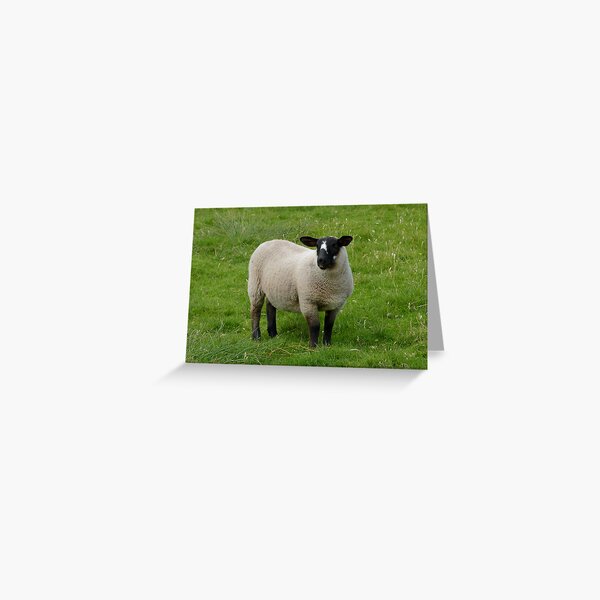 Item preview, What Ewe Lookin' At? designed and sold by ubern.