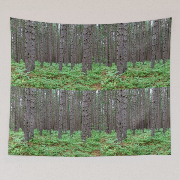 Item preview, Forestscape (color) designed and sold by J Rier Photography.