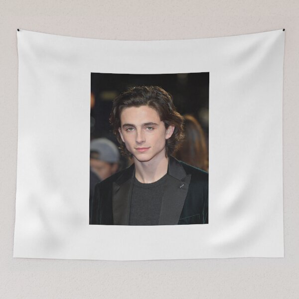 Aperçu de l'œuvre timothee chalamet créée et vendue par ren.