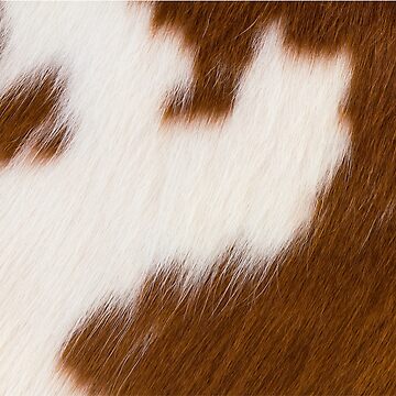 BROWN AND WHITE COWHIDE