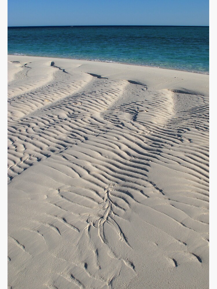 Bedwell Island Sand Dynamics II by neoniphon