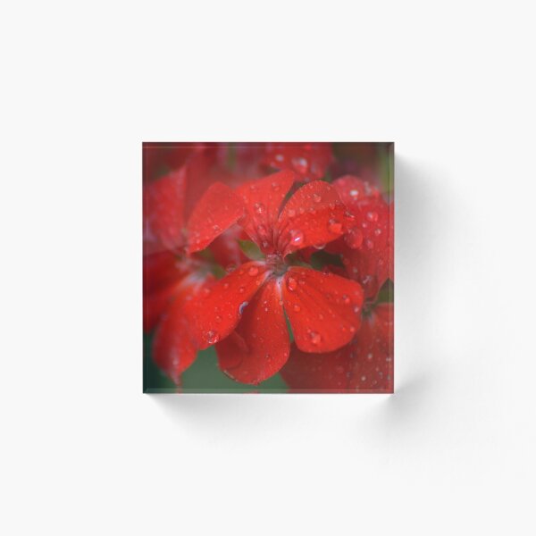 Item preview, Red geranium flower designed and sold by Mnkty.