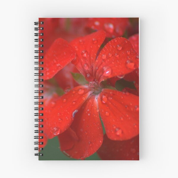 Artikelvorschau, Rote Pelargonieblume entworfen und verkauft von Mnkty.
