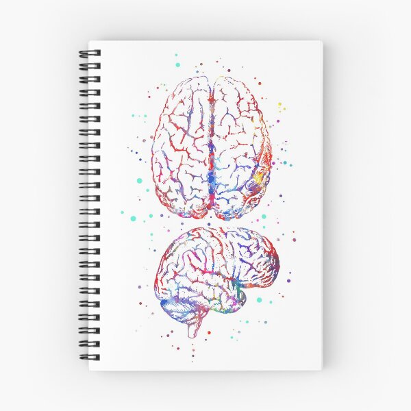 Item preview, Brain anatomy, medical art, watercolor Brain, Brain print designed and sold by Rosaliartbook.