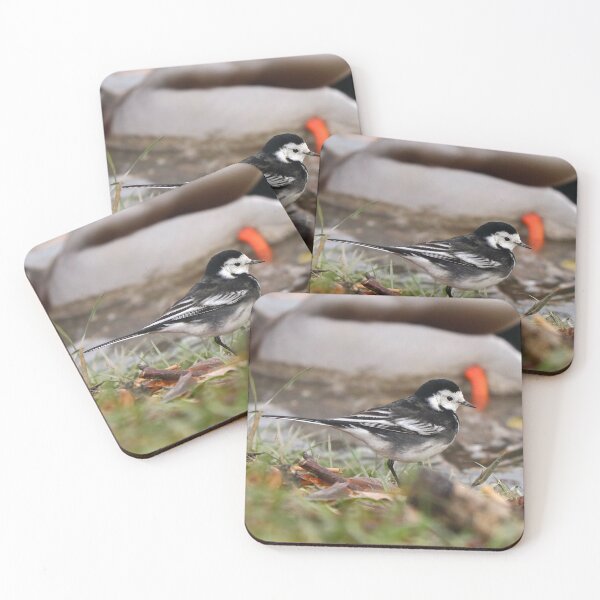 Item preview, Mallard and wagtail designed and sold by GreyFeatherPhot.