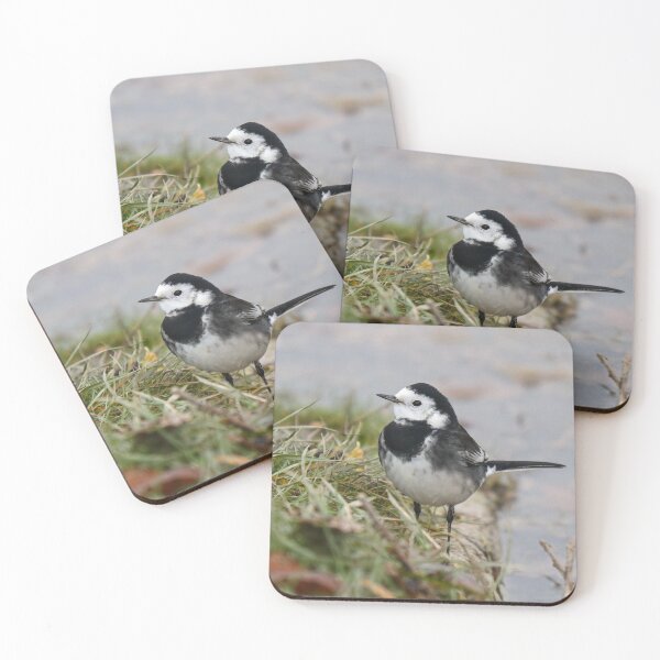 Item preview, Pied wagtail pose designed and sold by GreyFeatherPhot.