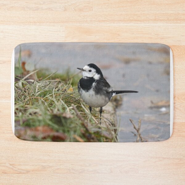 Item preview, Pied wagtail pose designed and sold by GreyFeatherPhot.