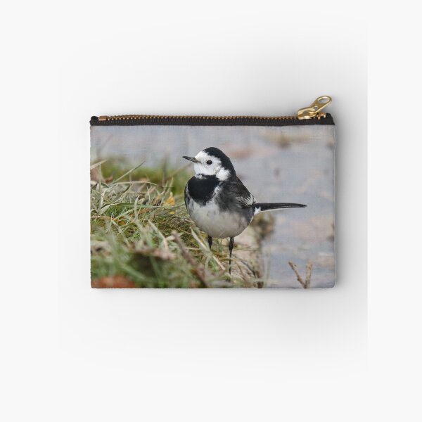 Item preview, Pied wagtail pose designed and sold by GreyFeatherPhot.