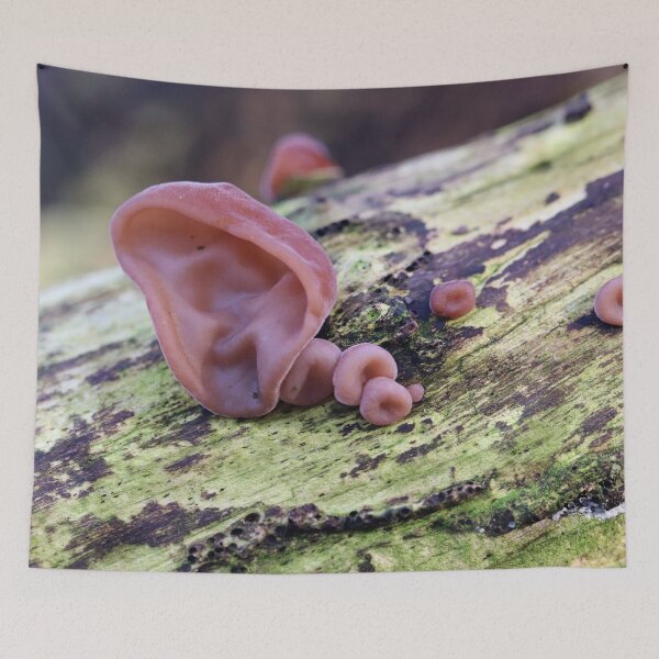 Item preview, We're All Ears! designed and sold by cuprum.