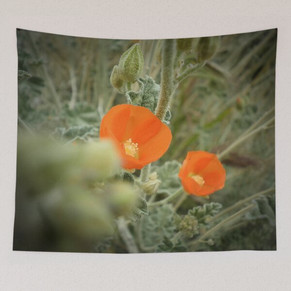Item preview, Desert Bloom designed and sold by sethgoepel.