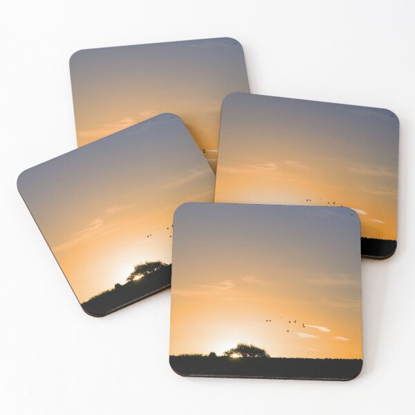 Item preview, Woodpigeons at Sunrise designed and sold by Sue Robinson.