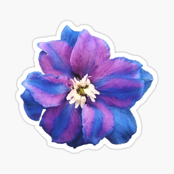 Item preview, Delightful Delphinium designed and sold by TheArtImp.