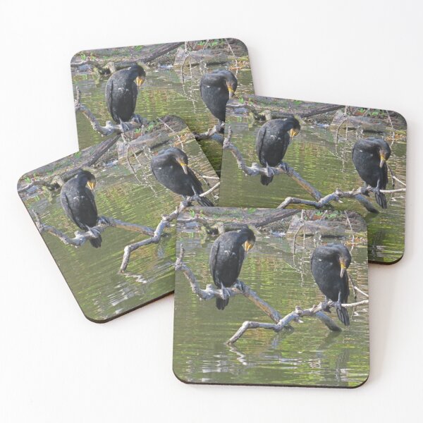 Item preview, Synchonised Preening. designed and sold by Sandra Willis.
