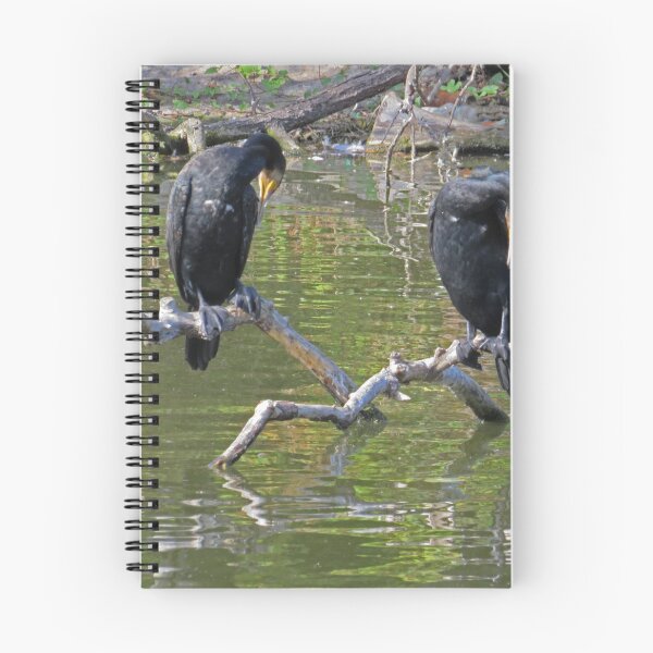 Item preview, Synchonised Preening. designed and sold by Sandra Willis.