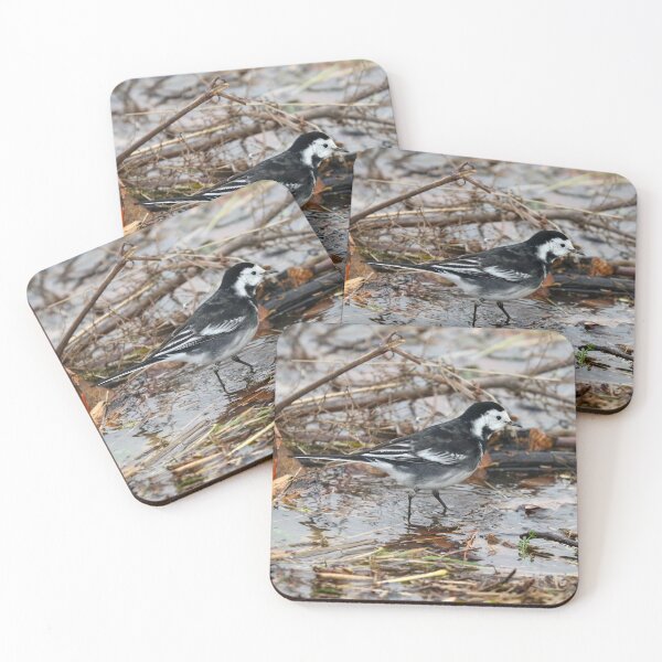 Item preview, Wading wagtail designed and sold by GreyFeatherPhot.
