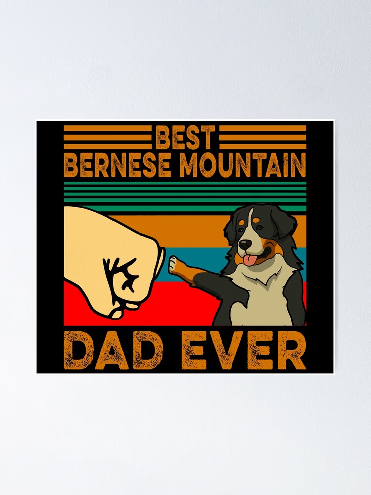 best bernese