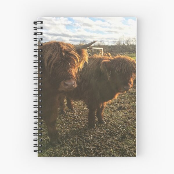 Item preview, Scottish Highland Cattle Calves 1843 designed and sold by SaarelaHighland.