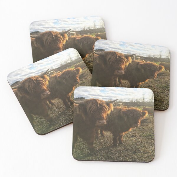 Item preview, Scottish Highland Cattle Calves 1843 designed and sold by SaarelaHighland.