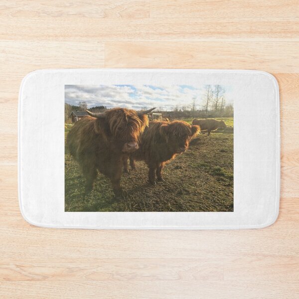 Item preview, Scottish Highland Cattle Calves 1843 designed and sold by SaarelaHighland.