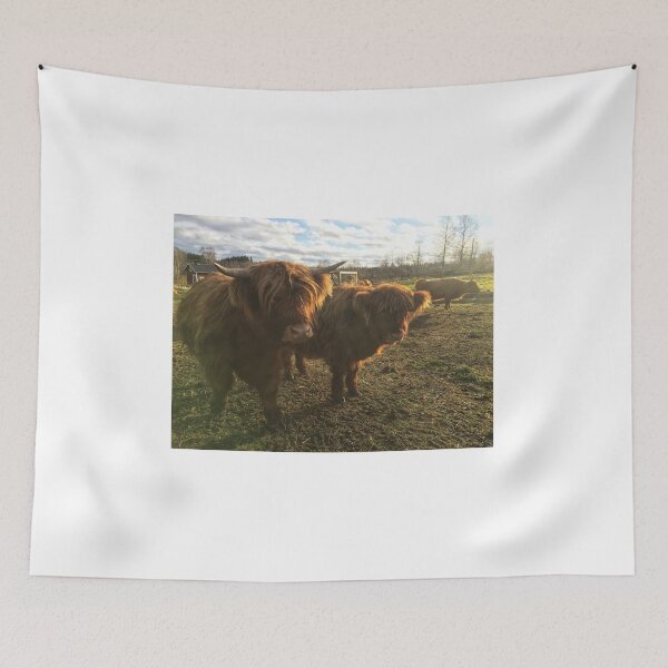 Item preview, Scottish Highland Cattle Calves 1843 designed and sold by SaarelaHighland.