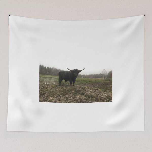 Item preview, Scottish Highland Cattle Bull 1845 designed and sold by SaarelaHighland.