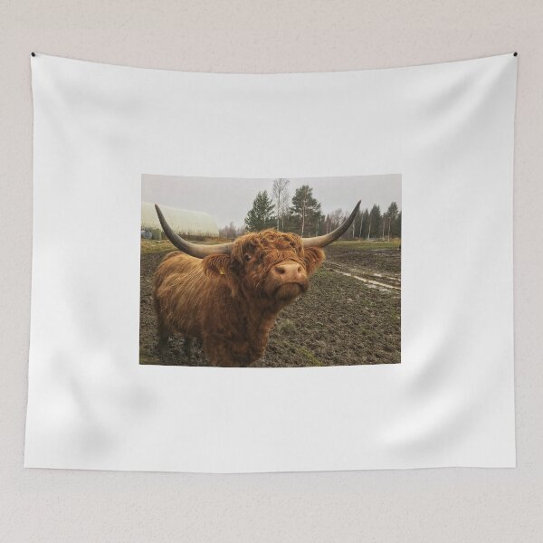 Item preview, Scottish Highland Cattle Bull 1846 designed and sold by SaarelaHighland.