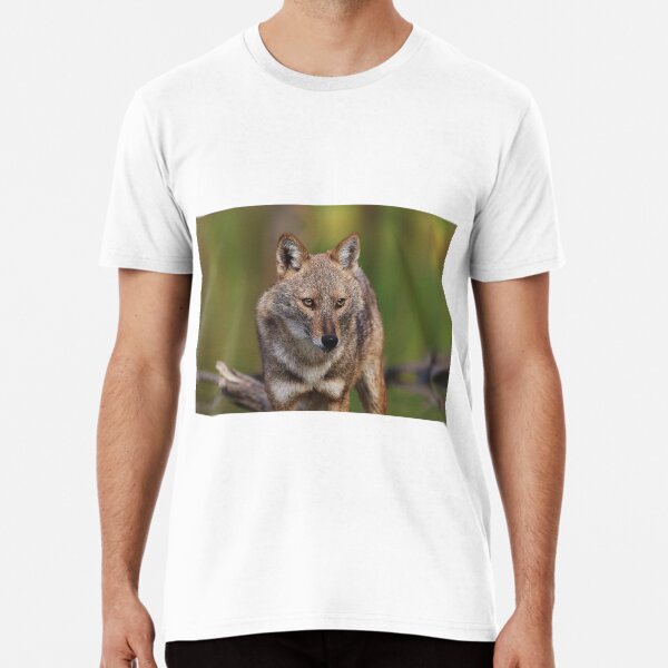Item preview, Golden Jackal designed and sold by LaGalleria-BNS.