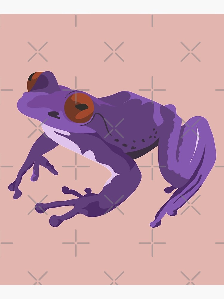 purple tree frog largest dod