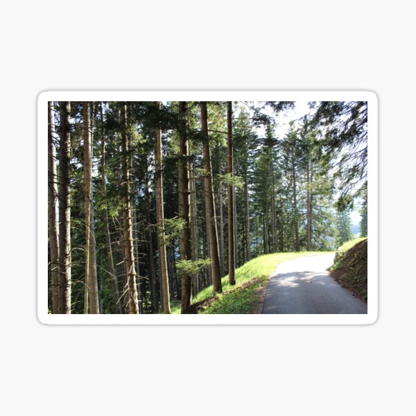 Schanfigger Wald Sticker