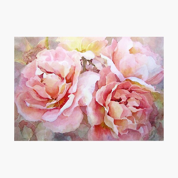 Summer Roses Photographic Print