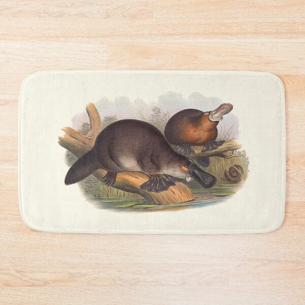 Item preview, Animals Of Australia The Duck Billed Platypus designed and sold by JoolyA.