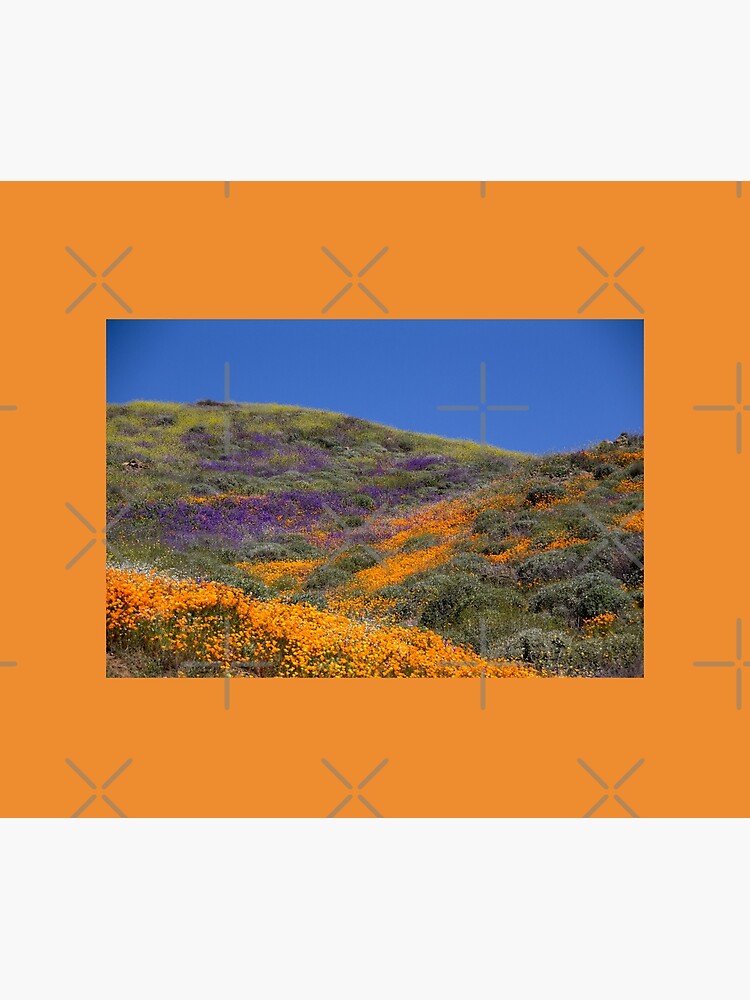 Super Bloom 2019 Tapestry for Sale by CarolM Redbubble