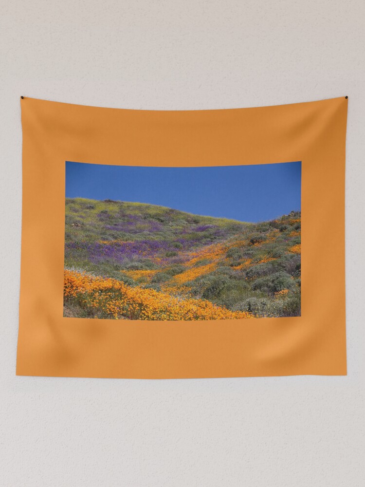 Super Bloom 2019 Tapestry for Sale by CarolM Redbubble