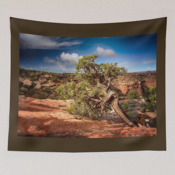 Item preview, Pinyon Pine - Canyonlands National Park designed and sold by Kathy Weaver.