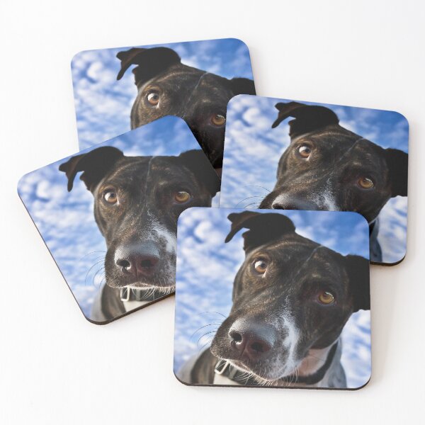 Item preview, And Why Is That? designed and sold by Alex Preiss.