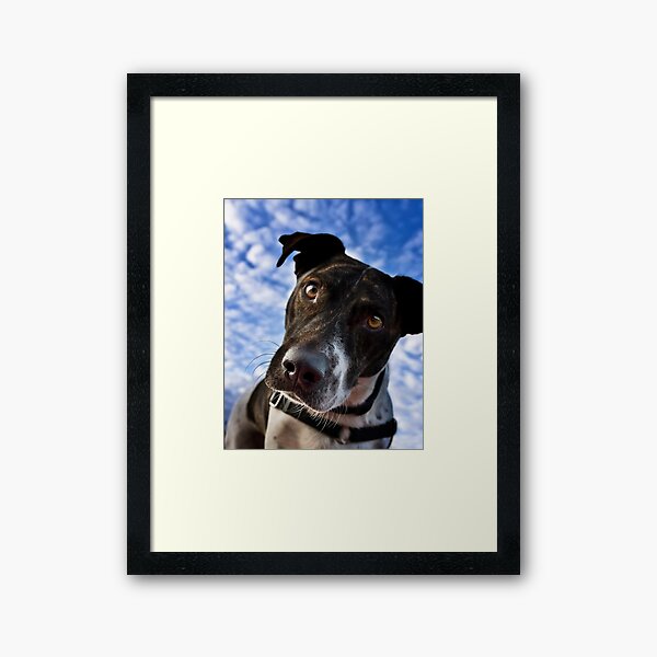 And Why Is That? Framed Art Print